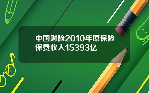 中国财险2010年原保险保费收入15393亿