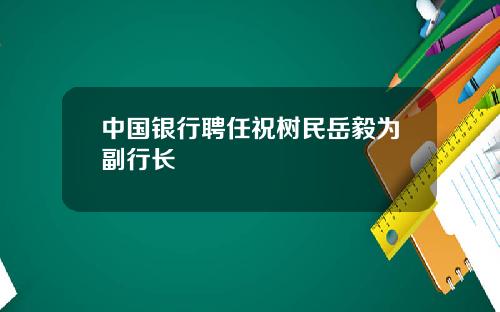 中国银行聘任祝树民岳毅为副行长