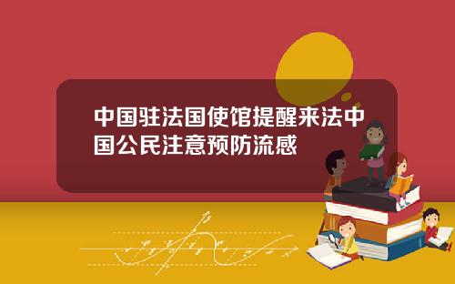 中国驻法国使馆提醒来法中国公民注意预防流感