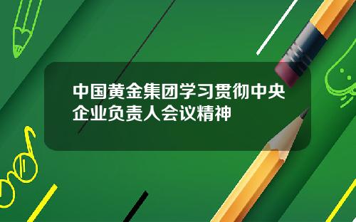 中国黄金集团学习贯彻中央企业负责人会议精神