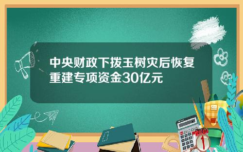 中央财政下拨玉树灾后恢复重建专项资金30亿元