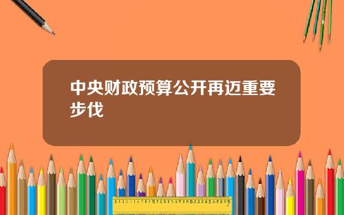 中央财政预算公开再迈重要步伐