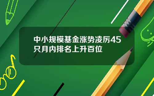 中小规模基金涨势凌厉45只月内排名上升百位