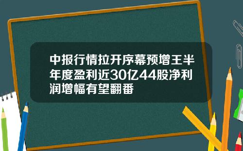 中报行情拉开序幕预增王半年度盈利近30亿44股净利润增幅有望翻番