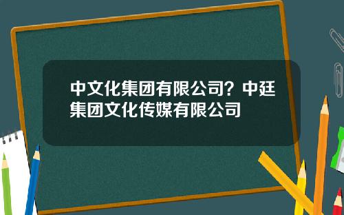 中文化集团有限公司？中廷集团文化传媒有限公司