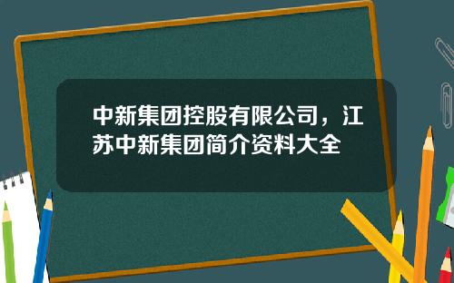 中新集团控股有限公司，江苏中新集团简介资料大全