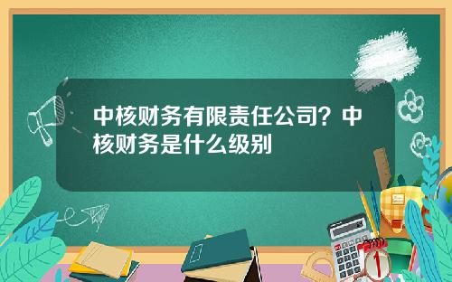 中核财务有限责任公司？中核财务是什么级别