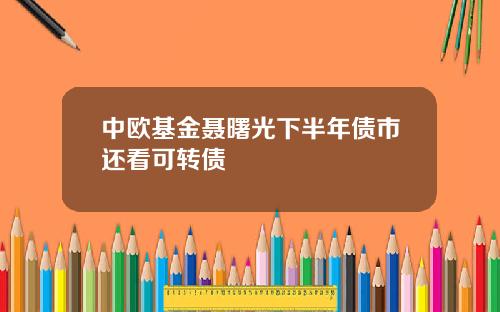 中欧基金聂曙光下半年债市还看可转债
