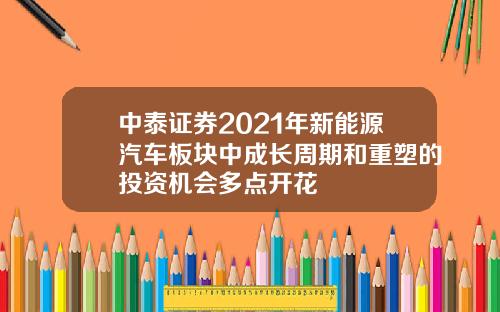 中泰证券2021年新能源汽车板块中成长周期和重塑的投资机会多点开花
