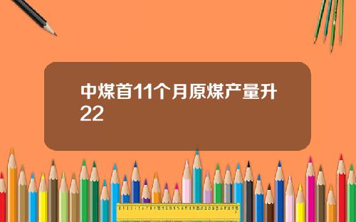 中煤首11个月原煤产量升22