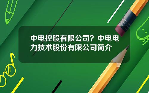 中电控股有限公司？中电电力技术股份有限公司简介