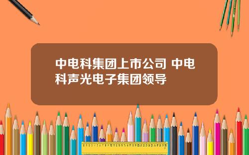 中电科集团上市公司 中电科声光电子集团领导