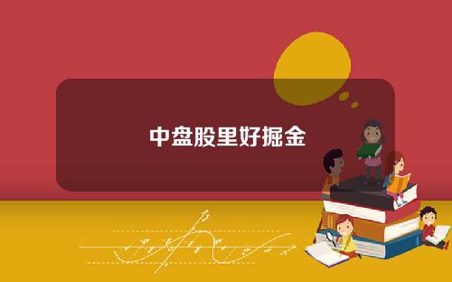 中盘股里好掘金
