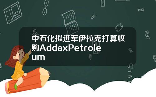 中石化拟进军伊拉克打算收购AddaxPetroleum