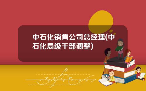 中石化销售公司总经理(中石化局级干部调整)