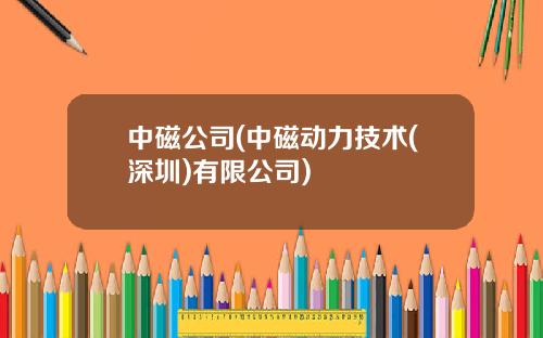 中磁公司(中磁动力技术(深圳)有限公司)