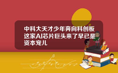 中科大天才少年奔向科创板这家AI芯片巨头来了早已是资本宠儿