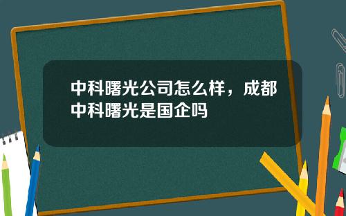 中科曙光公司怎么样，成都中科曙光是国企吗