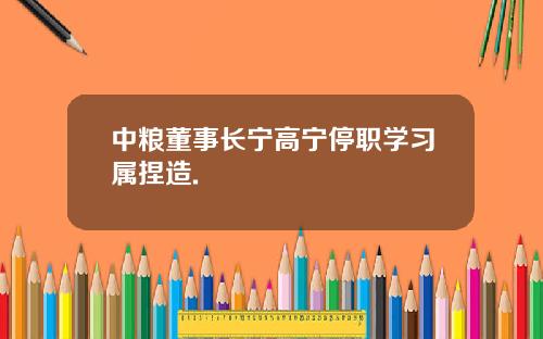 中粮董事长宁高宁停职学习属捏造.