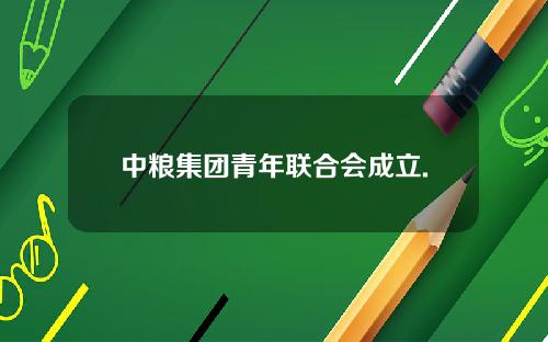 中粮集团青年联合会成立.