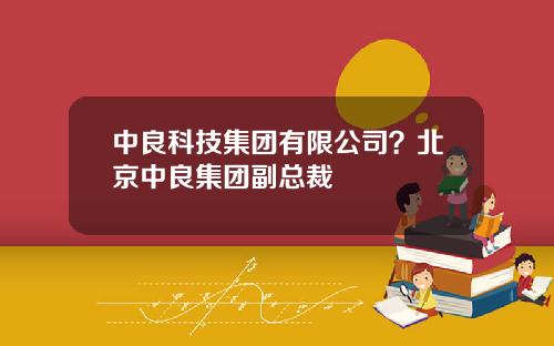 中良科技集团有限公司？北京中良集团副总裁