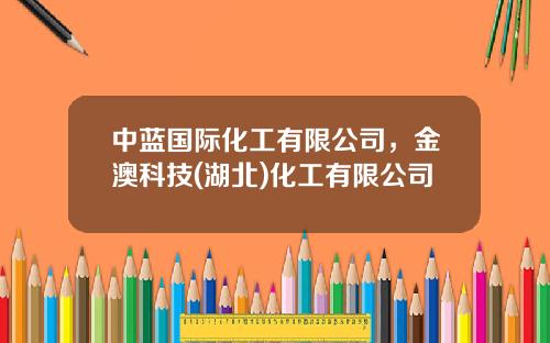 中蓝国际化工有限公司，金澳科技(湖北)化工有限公司