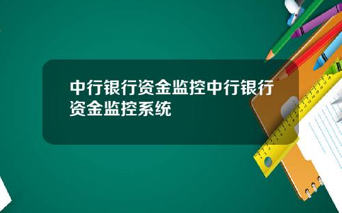 中行银行资金监控中行银行资金监控系统