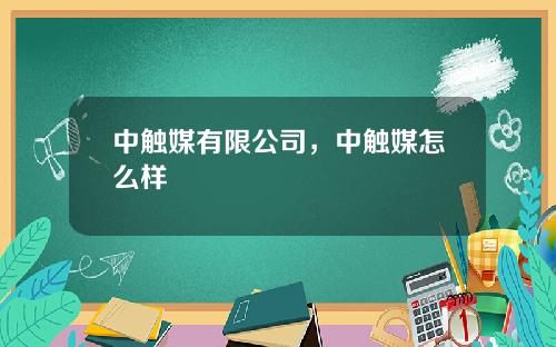 中触媒有限公司，中触媒怎么样