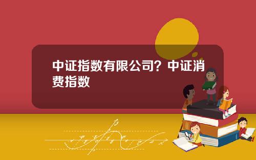中证指数有限公司？中证消费指数