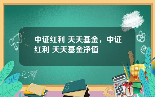 中证红利 天天基金，中证红利 天天基金净值