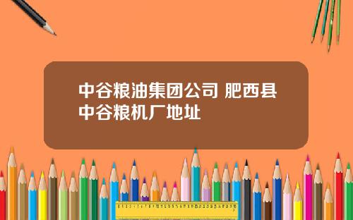 中谷粮油集团公司 肥西县中谷粮机厂地址