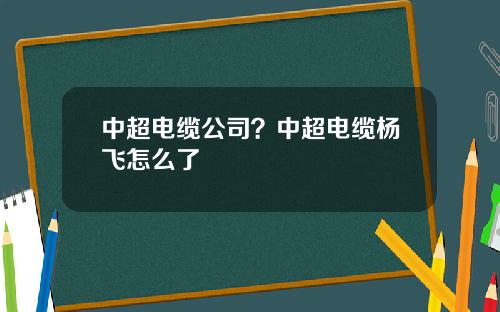 中超电缆公司？中超电缆杨飞怎么了