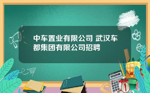 中车置业有限公司 武汉车都集团有限公司招聘
