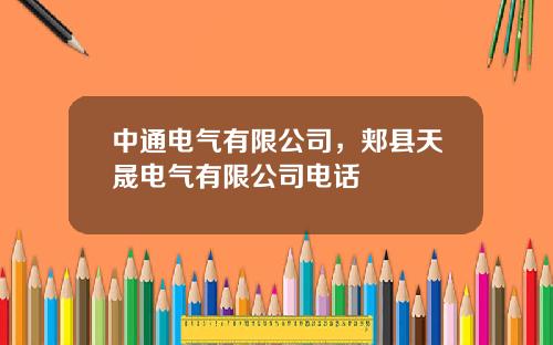中通电气有限公司，郏县天晟电气有限公司电话
