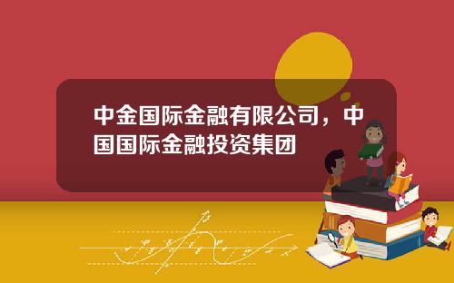 中金国际金融有限公司，中国国际金融投资集团