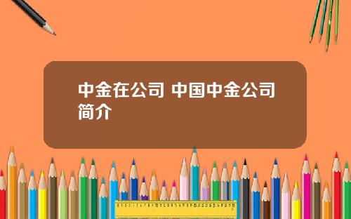 中金在公司 中国中金公司简介