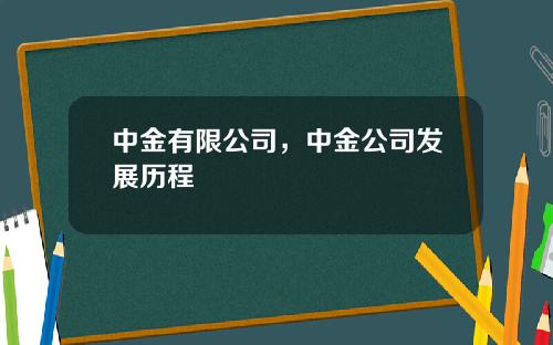 中金有限公司，中金公司发展历程