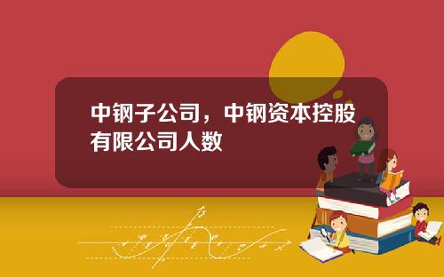 中钢子公司，中钢资本控股有限公司人数