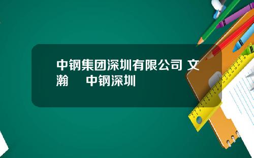 中钢集团深圳有限公司 文瀚旻 中钢深圳