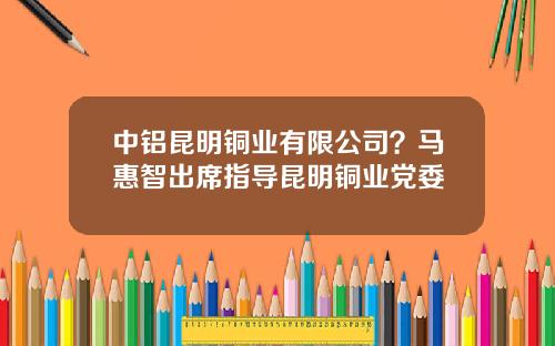 中铝昆明铜业有限公司？马惠智出席指导昆明铜业党委