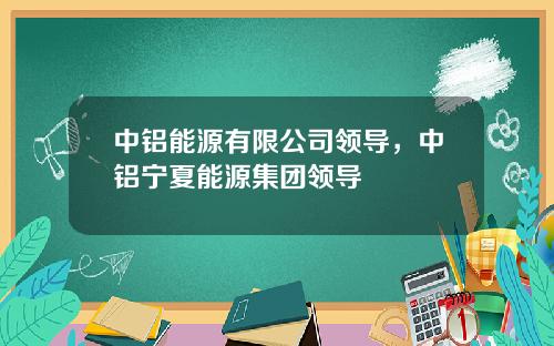 中铝能源有限公司领导，中铝宁夏能源集团领导
