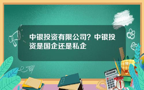 中银投资有限公司？中银投资是国企还是私企