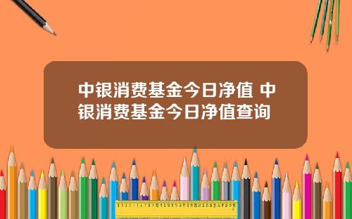 中银消费基金今日净值 中银消费基金今日净值查询