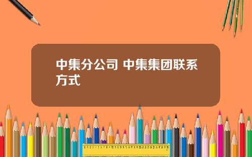 中集分公司 中集集团联系方式