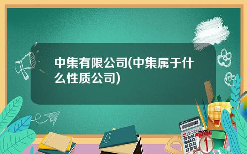 中集有限公司(中集属于什么性质公司)