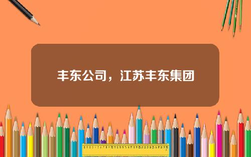 丰东公司，江苏丰东集团
