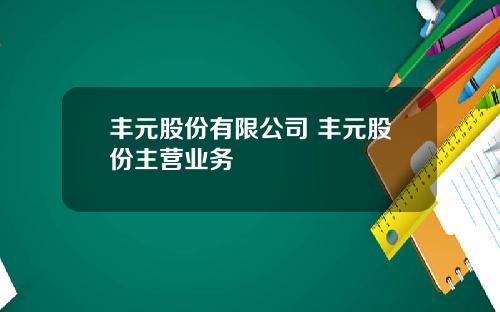丰元股份有限公司 丰元股份主营业务
