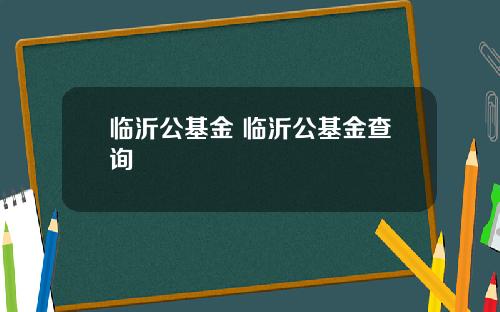 临沂公基金 临沂公基金查询