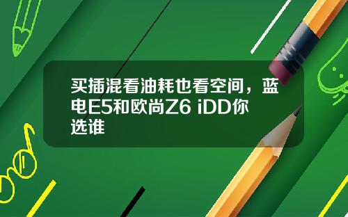 买插混看油耗也看空间，蓝电E5和欧尚Z6 iDD你选谁