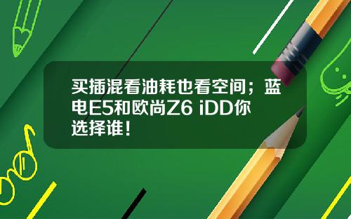 买插混看油耗也看空间；蓝电E5和欧尚Z6 iDD你选择谁！
